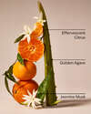 Sweet Orange & Agave Wallflowers Fragrance Refill