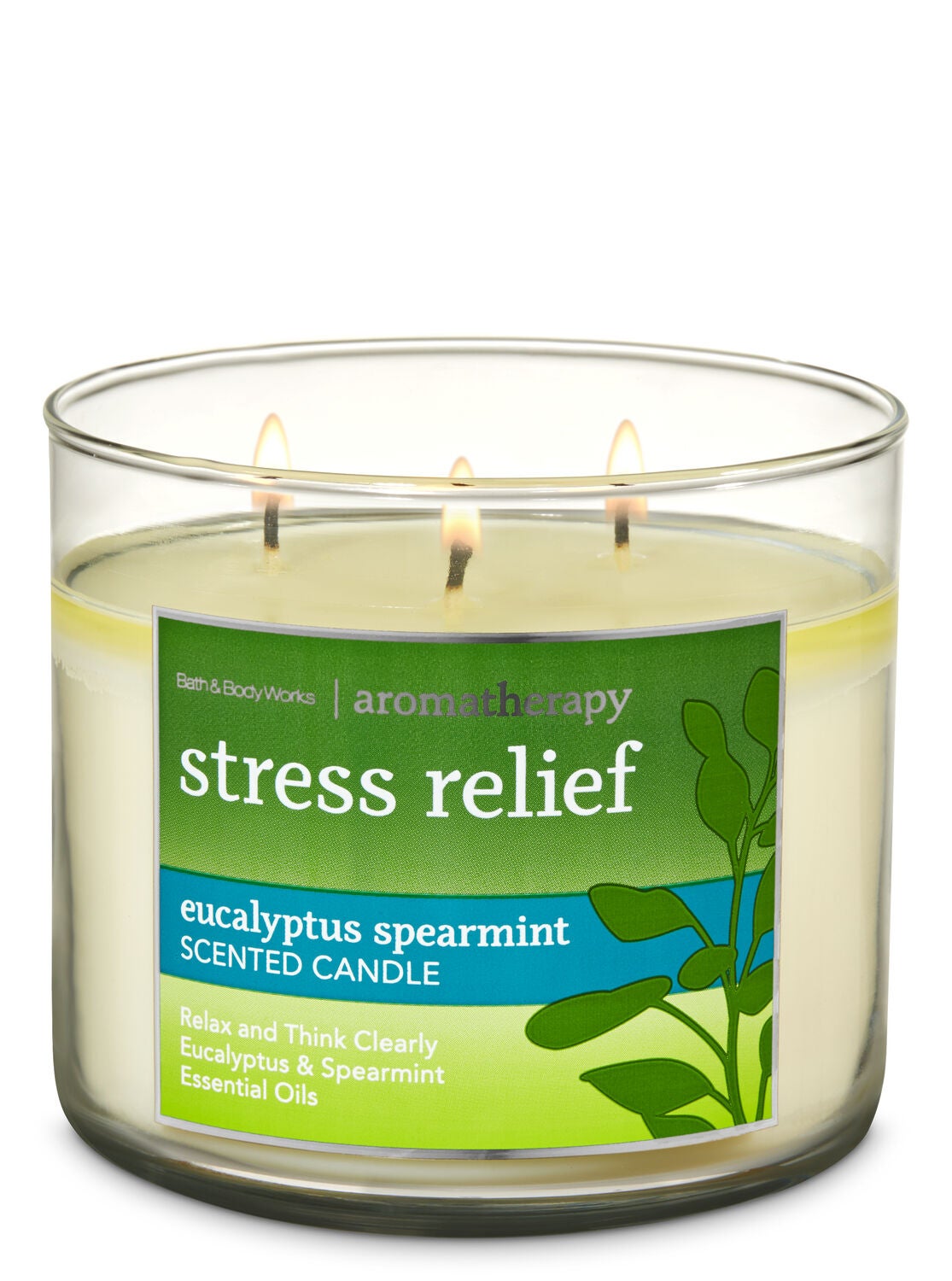 spearmint wick bathandbodyworks