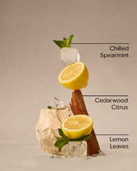 Fresh Amalfi Lemon Concentrated Room Spray