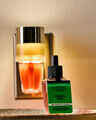 Simmer & Spice Wallflowers Fragrance Refill