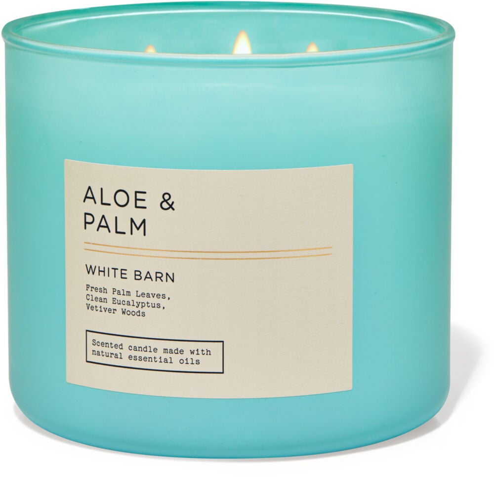 Aloe &amp;amp; Palm 3-Wick Candle