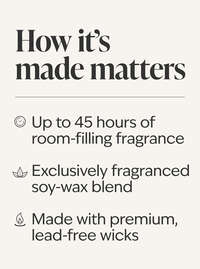 Vanilla Bean 3-Wick Candle