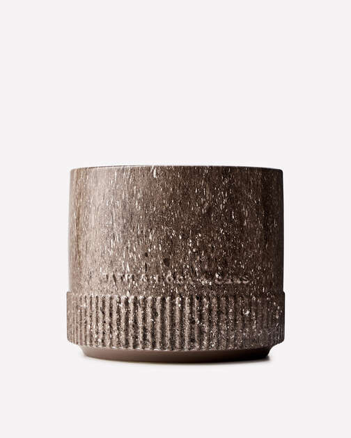 Sweet Orange + Agave 4-Wick Candle