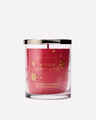 Winter Candy Apple Single Wick Candle