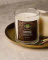 Cinnamon Pinecone Single Wick Candle