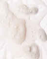 Sally Body Wash