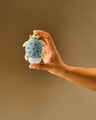 Sea Turtle PocketBac Holder