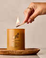 Cinnamon Honey Toast Single Wick Candle