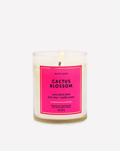 Cactus Blossom Single Wick Candle