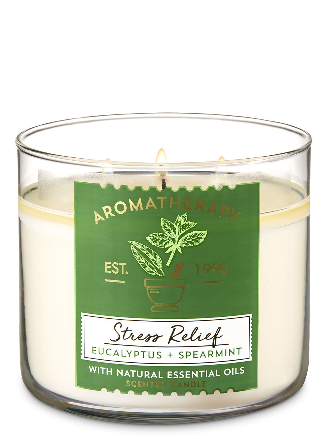 Eucalyptus Spearmint 3 Wick Candle Aromatherapy Bath Body Works