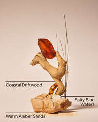 Sandbar Wallflowers Fragrance Refill