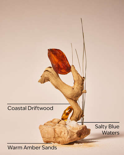 Sandbar Wallflowers Fragrance Refill