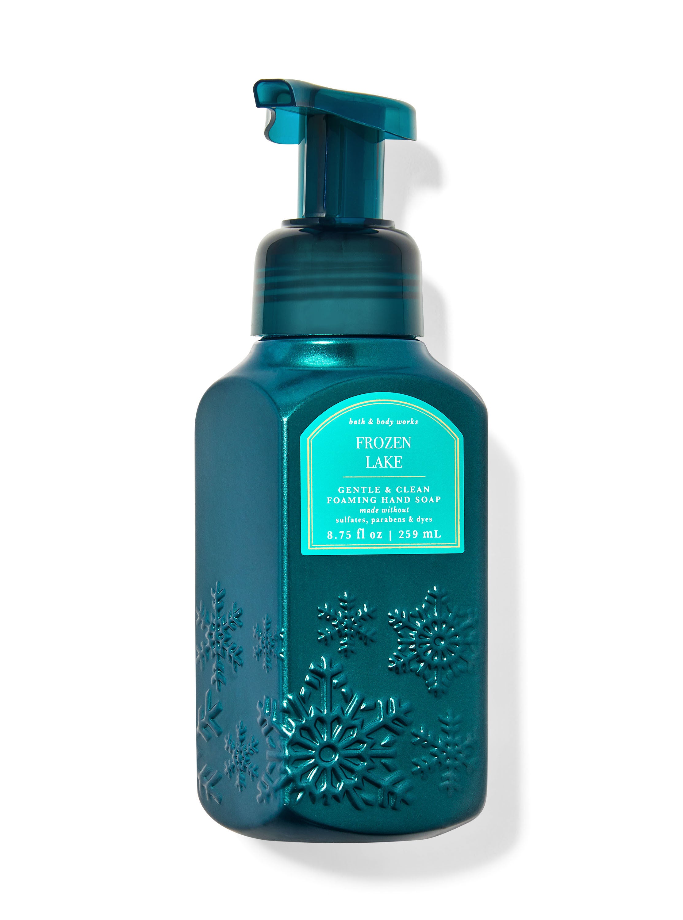 Frozen Lake Gentle & Clean Foaming Hand Soap