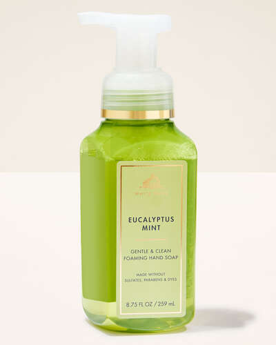 Eucalyptus Mint Gentle & Clean Foaming Hand Soap