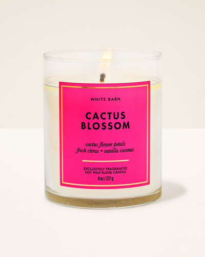 Cactus Blossom Single Wick Candle
