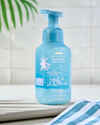 Blueberry Beach Club Gentle & Clean Foaming Hand Soap