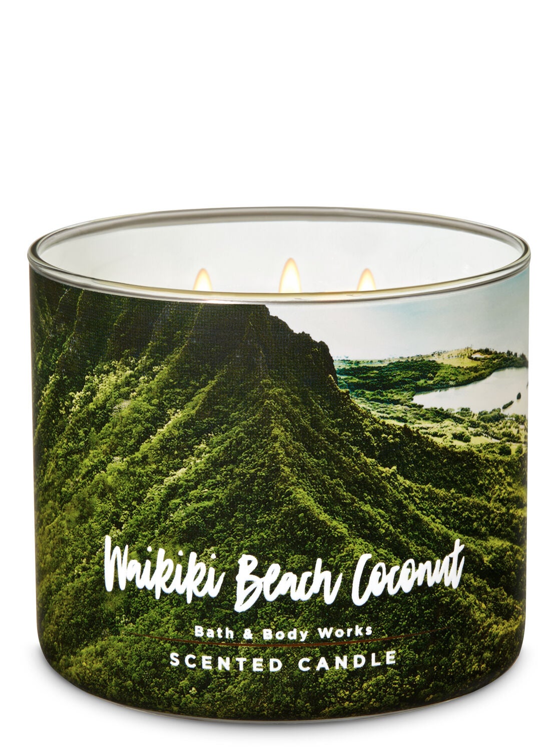 Waikiki Beach Coconut 3-Wick Candle - Bath And Body Works