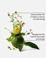 Sleep: Black Chamomile Body Wash & Foam Bath