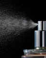 Platinum Fine Fragrance Mist