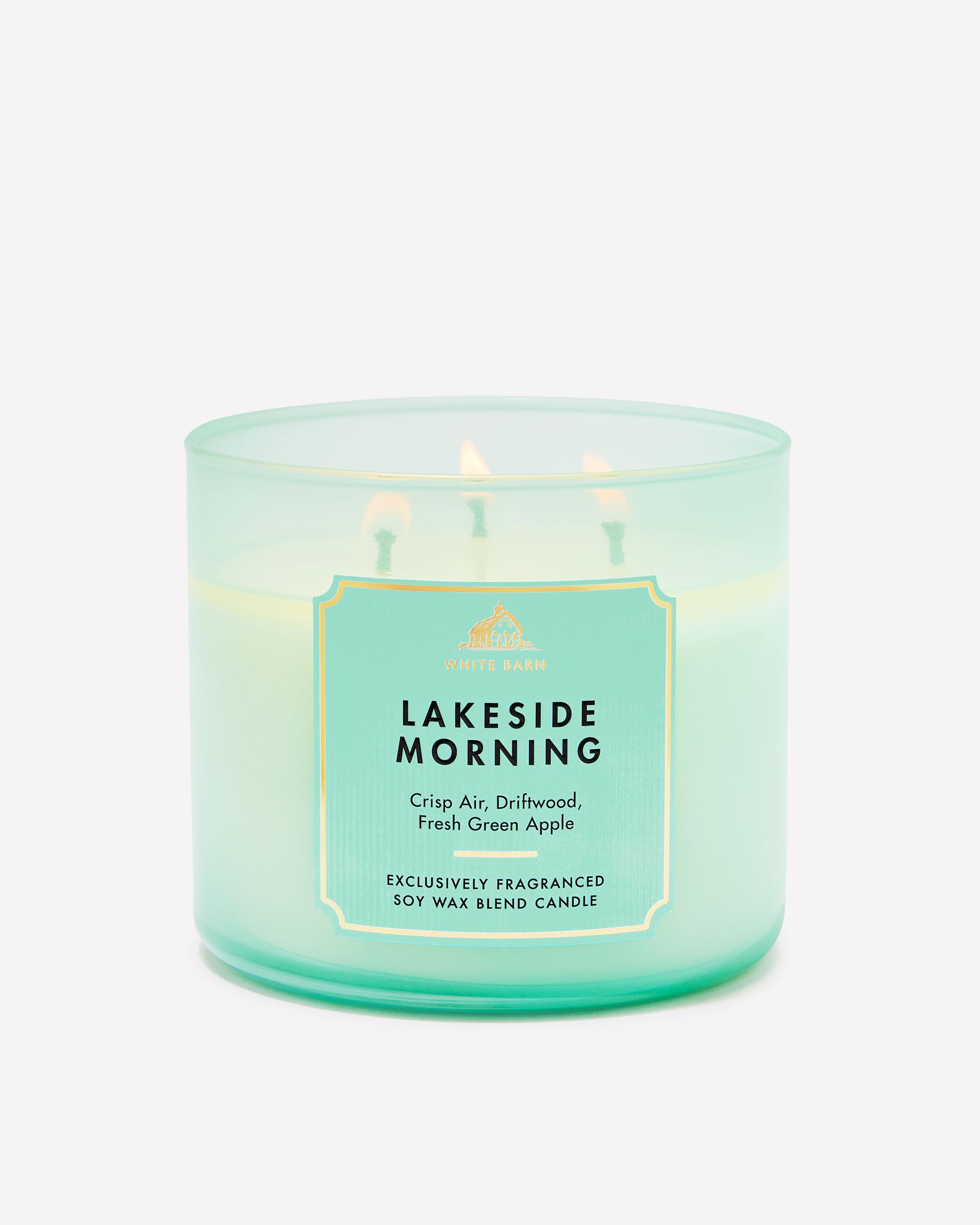 専用 Bath & Body Works Candle Body Wash Bath & Body Works
