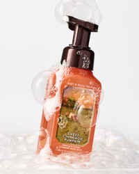 Sweet Cinnamon Pumpkin Gentle & Clean Foaming Hand Soap