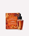 Caramel Pumpkin Swirl Wallflowers Refills 2-Pack