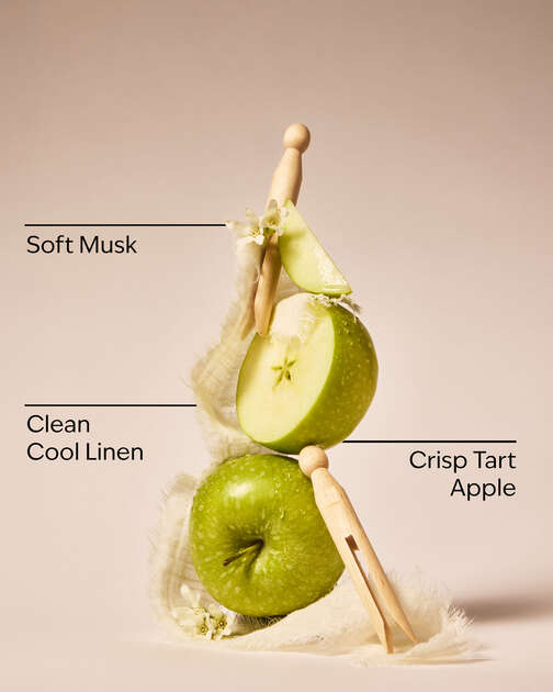 Sun-Drenched Linen 3-Wick Candle