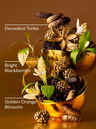 Touch of Gold Body Wash