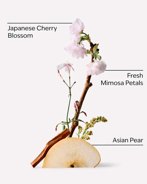 Japanese Cherry Blossom Creamy Body Scrub