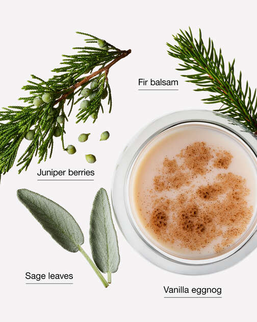 Under The Christmas Tree Wallflowers Fragrance Refill