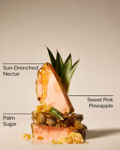 Pink Pineapple Sunrise SPF Lotion