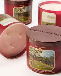 Afternoon Apple Picking 3-Wick Candle