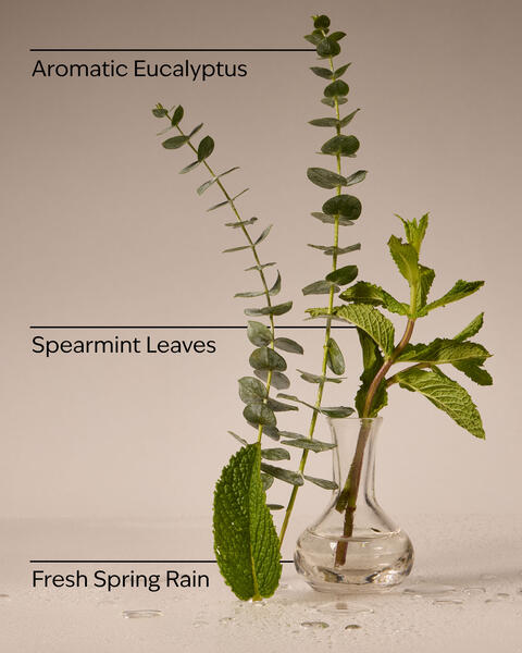 Eucalyptus Rain Wallflowers Fragrance Refill