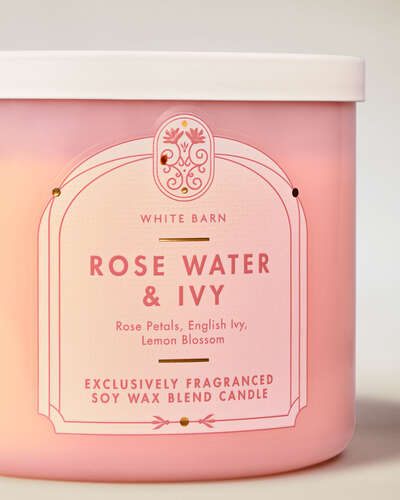 Rose Water & Ivy 3-Wick Candle