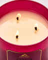 Cactus Blosom 3-Wick Candle