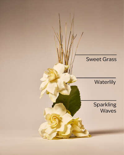 Seagrass Serenity Wallflowers Refills 2-Pack