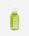 Eucalyptus Mint Gentle & Clean Foaming Hand Soap