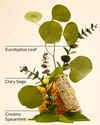 Eucalyptus Spearmint Travel Size Ultimate Hydration Body Cream