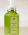 Eucalyptus Mint Gentle & Clean Foaming Hand Soap