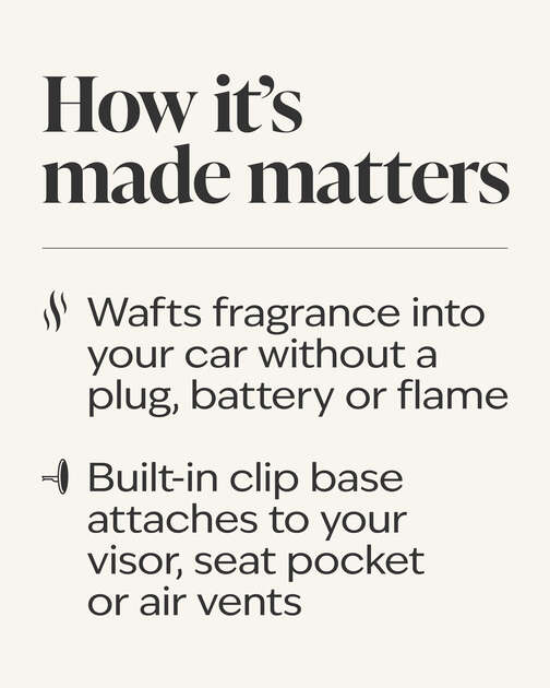 Shelly Turtle Car Fragrance Holder