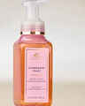 Champagne Toast  Gentle & Clean Foaming Hand Soap