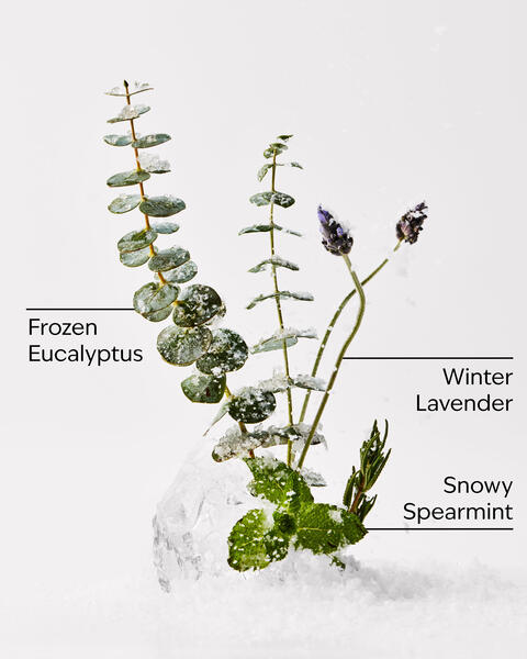 Eucalyptus Snowfall 3-Wick Candle