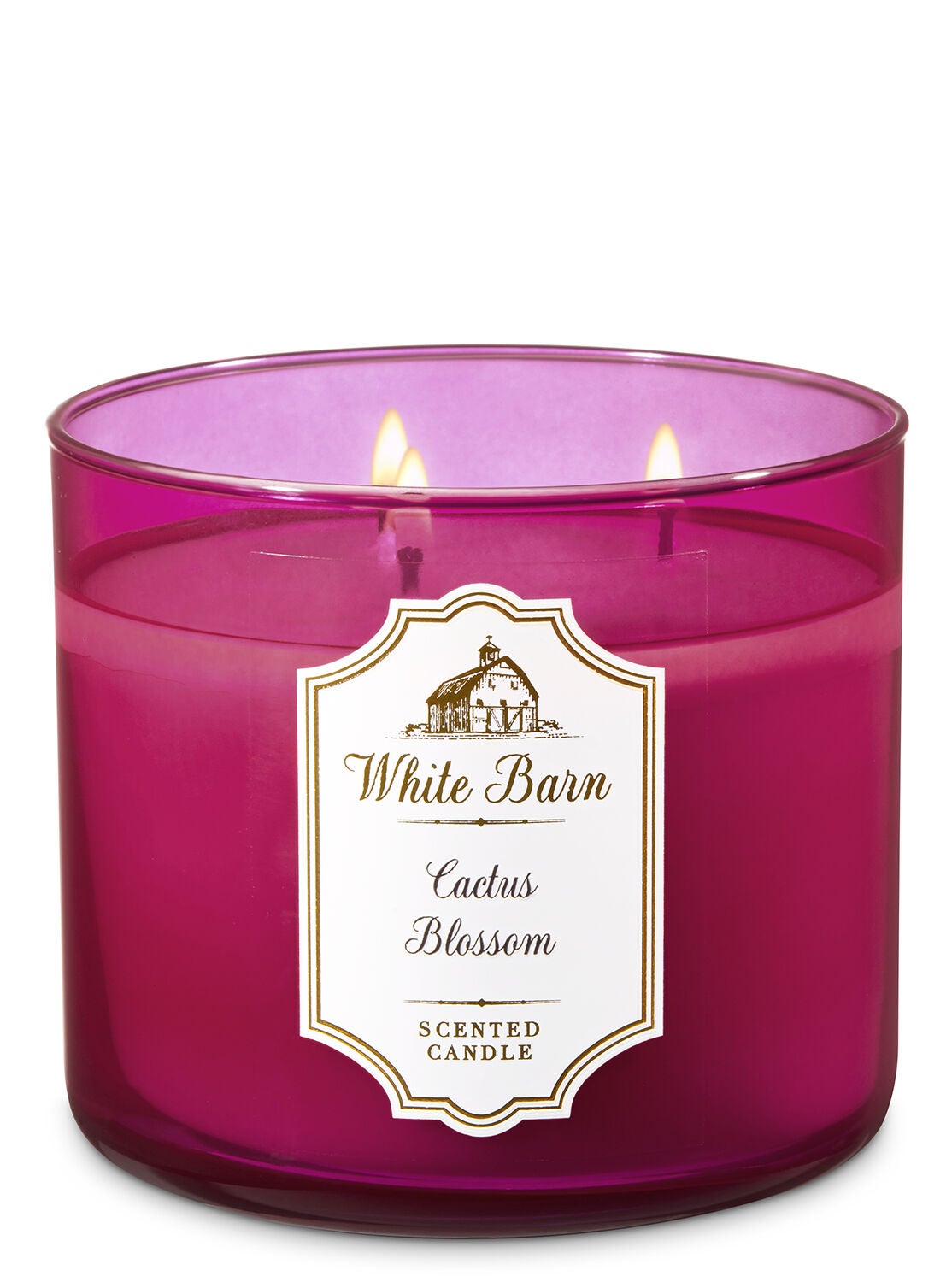 White Barn Cactus Blossom 3-Wick Candle - Bath And Body Works