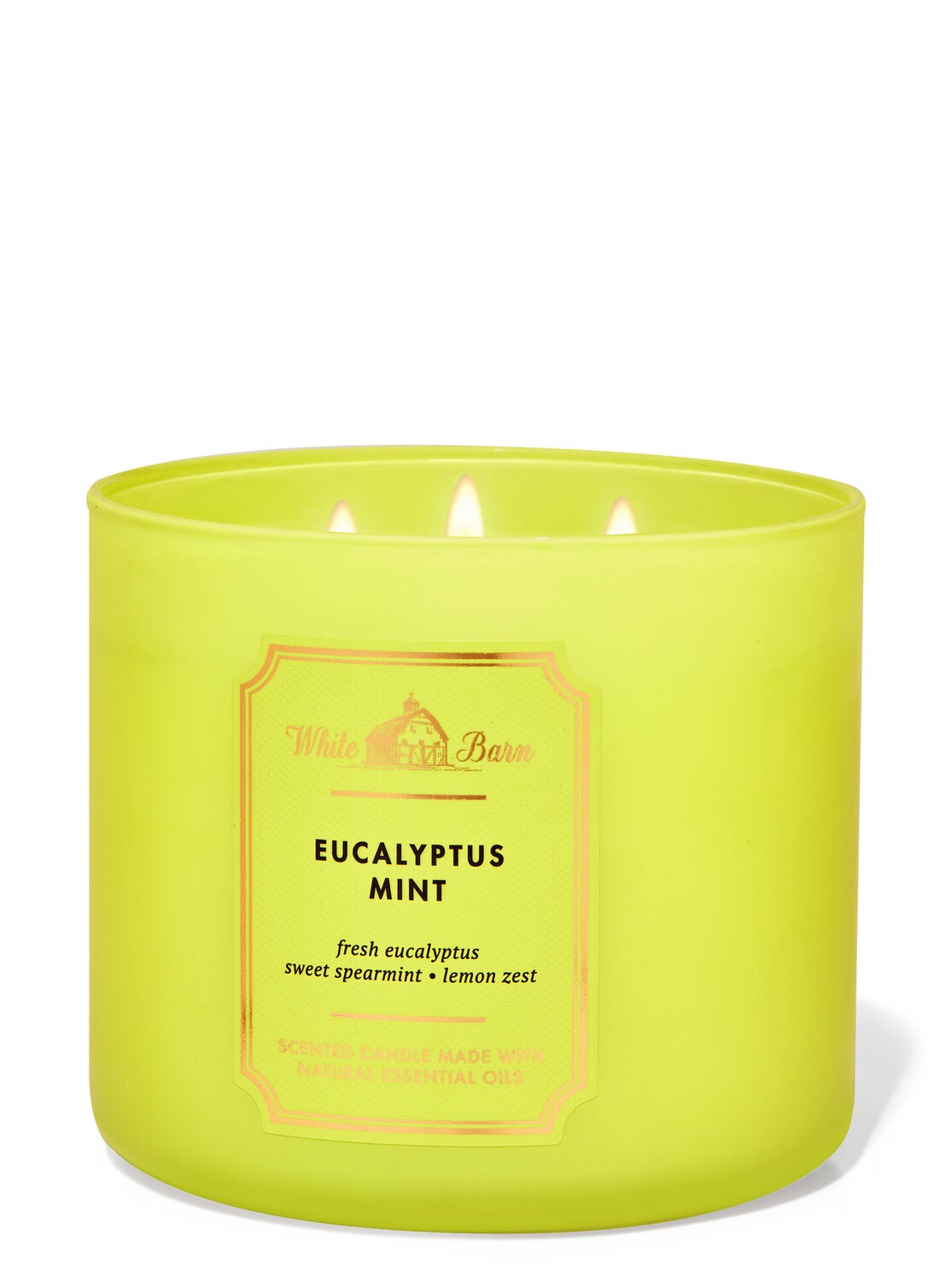 NEW BATH & BODY WORKS EUCALYPTUS MINT SCENTED CANDLE 3 WICK 14.5 OZ LARGE GREEN 