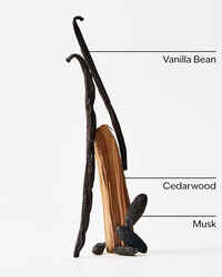 Vanilla + Tonka Fragrance Infused Liquidless Reeds