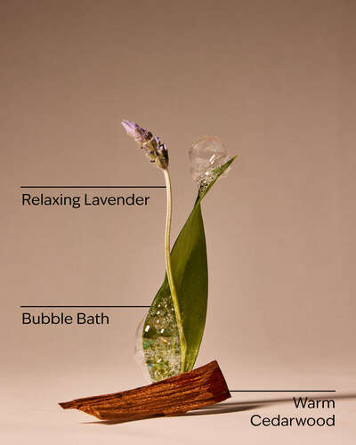 Spa Day For Mom Wallflowers Fragrance Refill