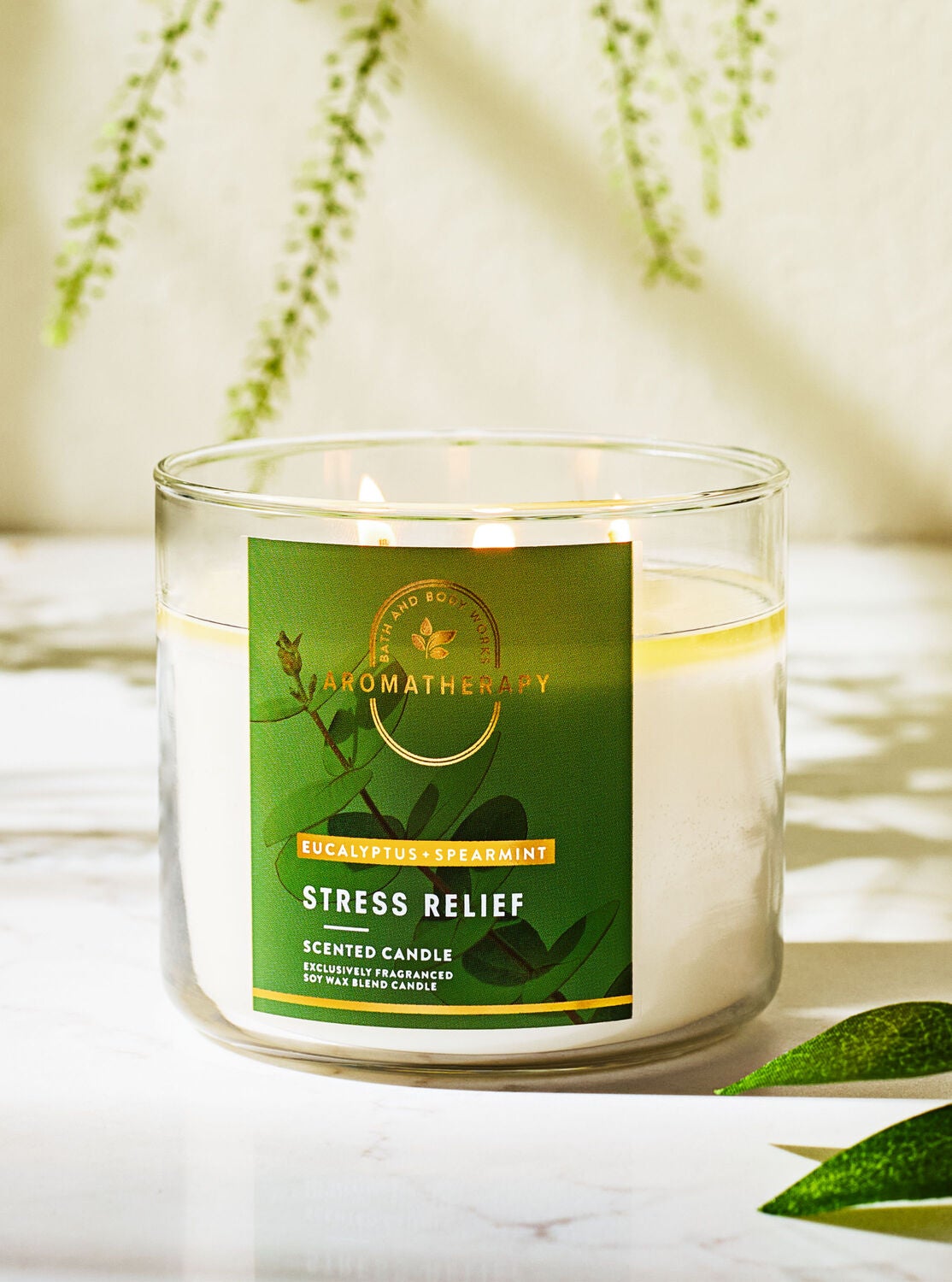 Eucalyptus Spearmint 3-Wick Candle - Aromatherapy | Bath & Body