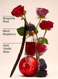 Dark Kiss Body Lotion