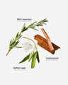 Sugared Rosemary Sage Revitalizing Hand Soap