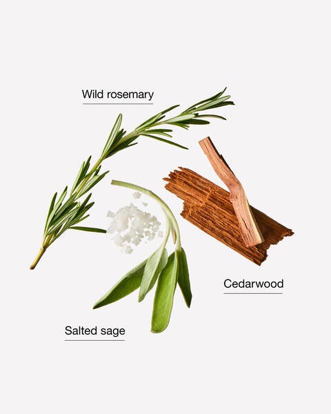 Sugared Rosemary Sage Revitalizing Hand Soap
